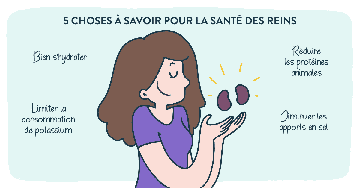 Santé des reins : Guide complet pour préserver votre fonction rénale