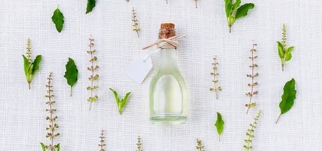 Les bienfaits de la phytothérapie : guide complet des remèdes naturels