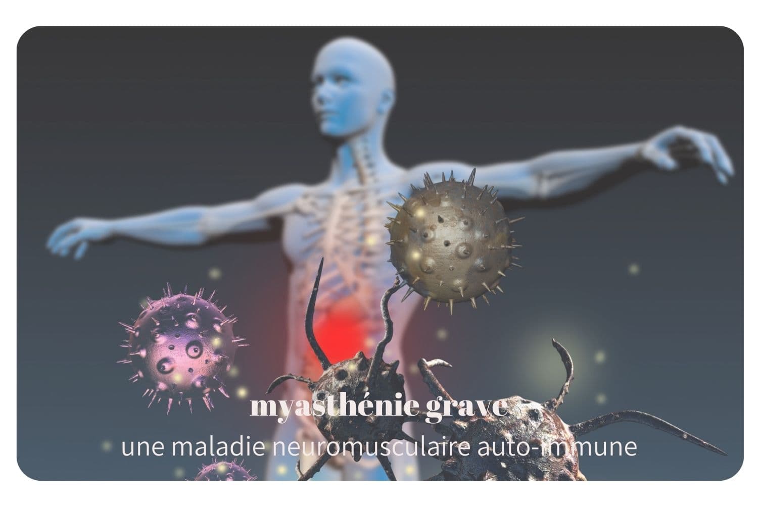 Myasthénie grave : comprendre cette maladie auto-immune rare