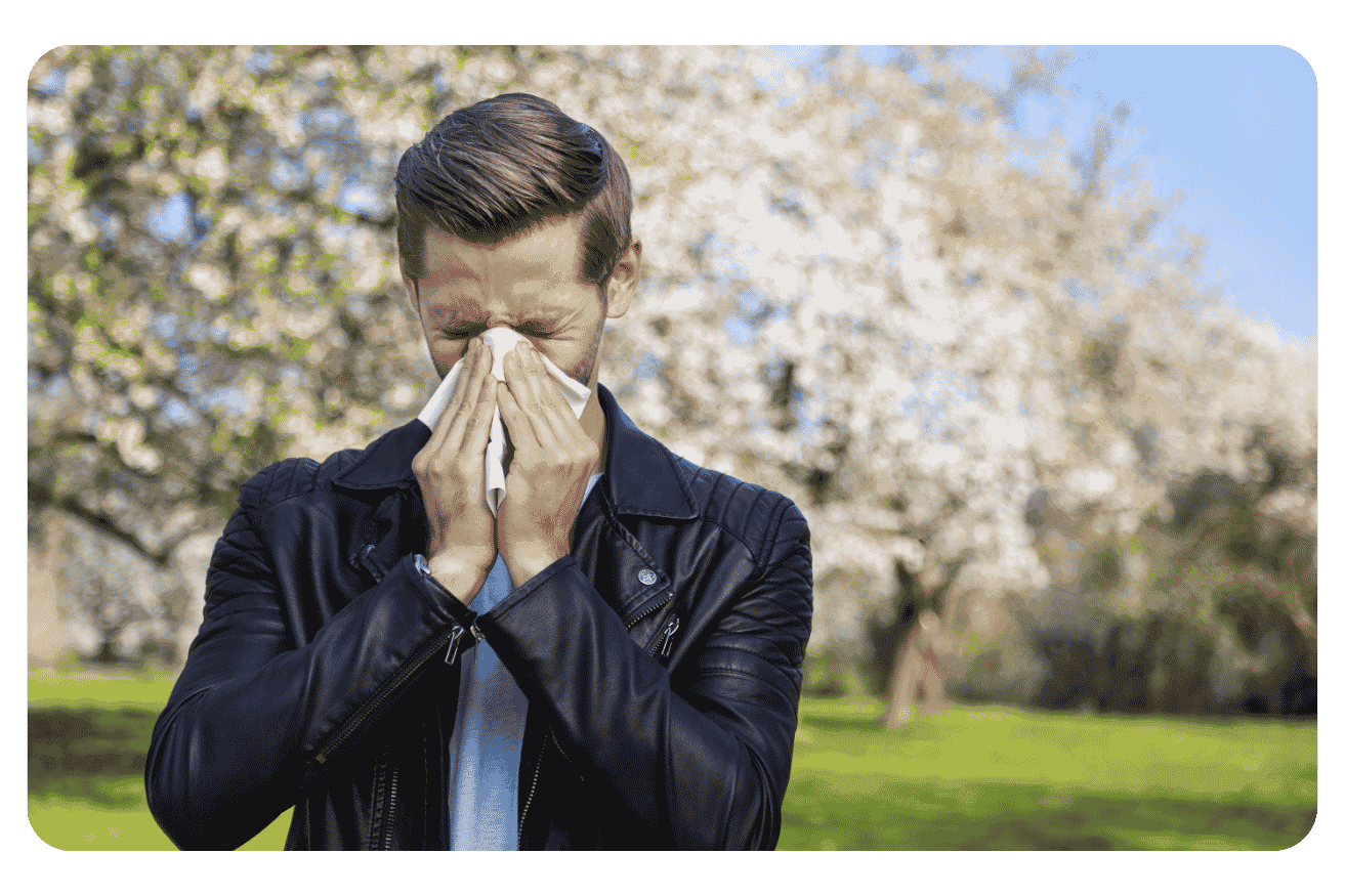 Allergie aux pollens en été : plantes et antihistaminiques