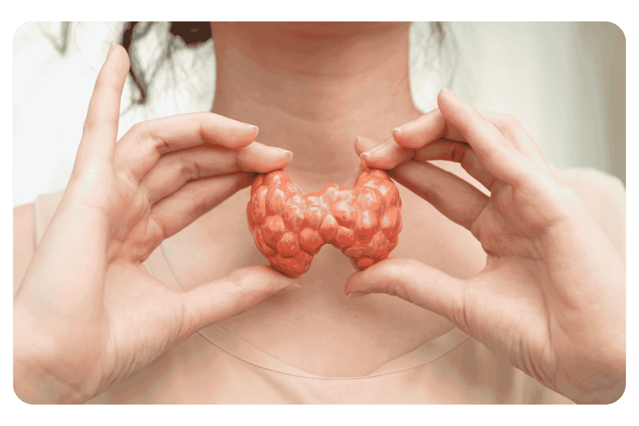 Thyroïde déréglée : quel médecin consulter et quand ?